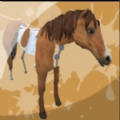 Animal Painter 3D苹果版 v1.0