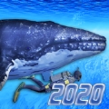 DivingSimulator2020 v1.0