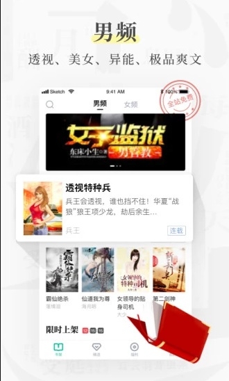 风筝阅读截图