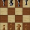 4X4国际象棋ios版