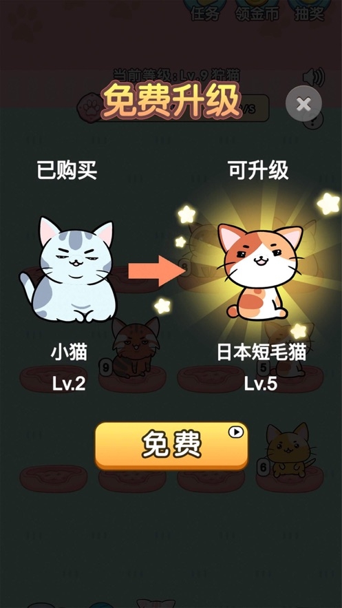 天天撸猫猫游戏截图