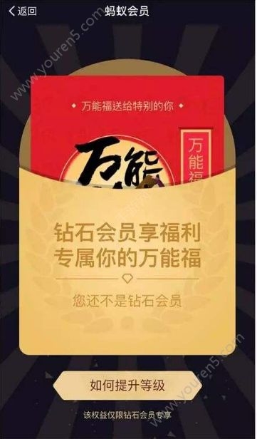 支付宝集五福2020最新玩法版截图