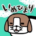 熊猫狗和猫iOS v1.0
