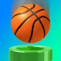 滚入篮子拼图2D苹果版 v1.0