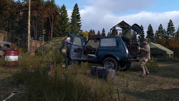 dayz独立版手机版截图