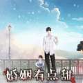 婚姻有点甜 v2.25.265.0817