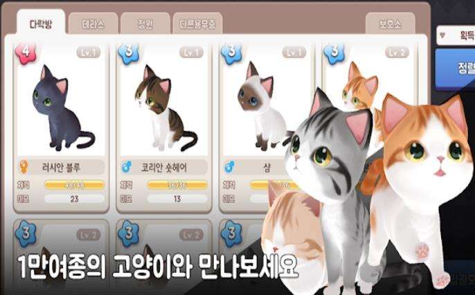 治愈猫咪培育馆游戏截图