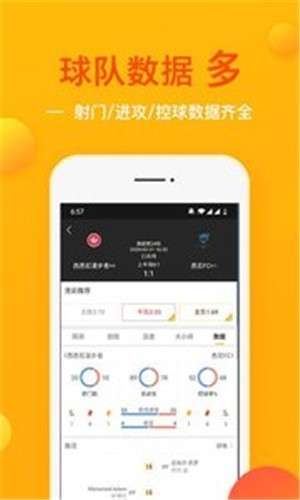 球运截图