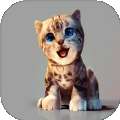真实小猫3D模拟游戏 v1.0