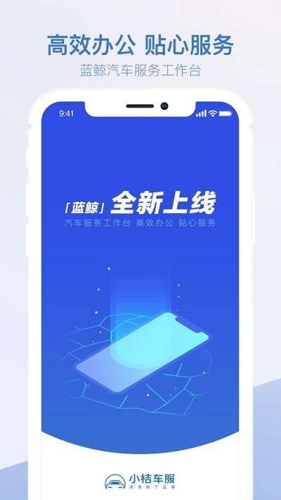 车服助手截图