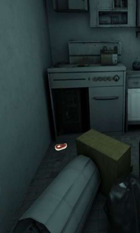 可怕老屋游戏截图