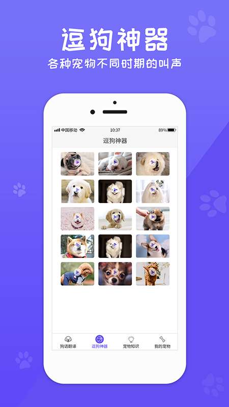 狗语翻译器app截图