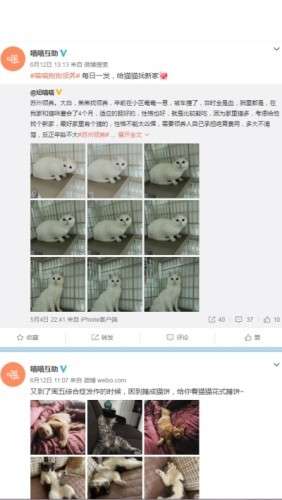 喵喵互助截图
