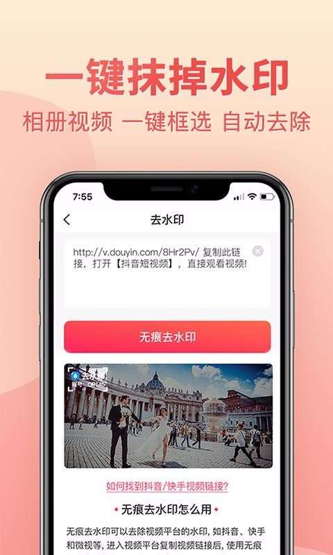 视频去水印专业版截图