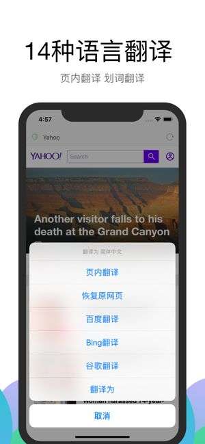 alook浏览器免费版截图