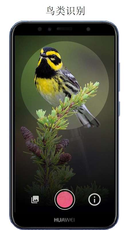 万物识别app截图