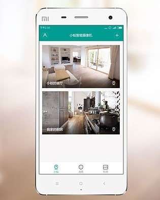 小蚁解析截图