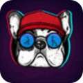 小奶狗app v1.1.1
