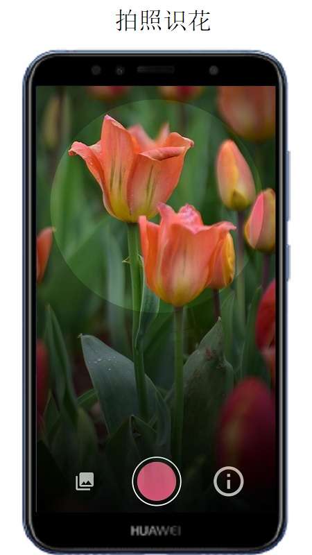 万物识别app截图