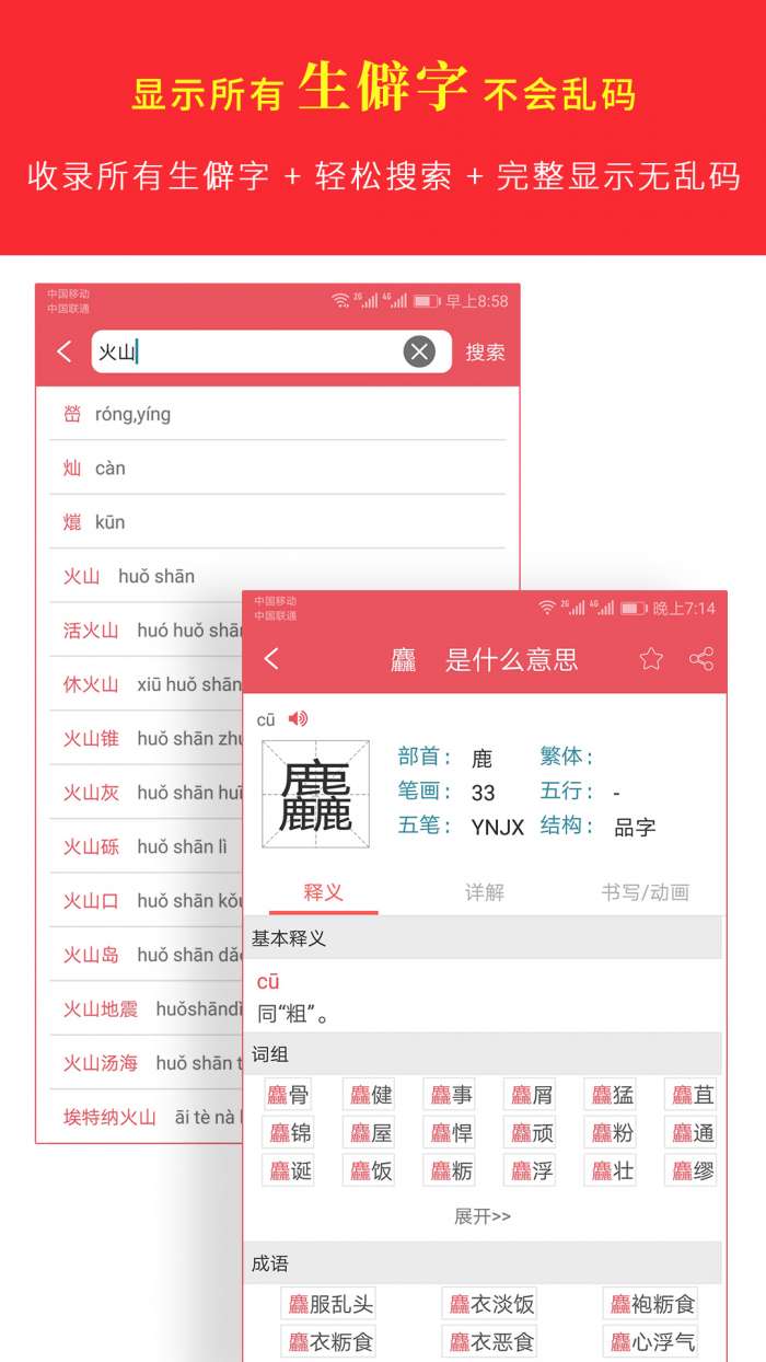 汉语字典专业版app截图