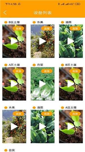 春天农场截图