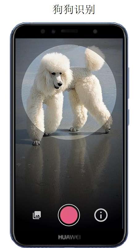 万物识别app截图