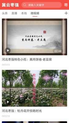 冀云枣强防疫答题版截图