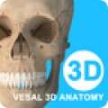 维萨里3D解剖app v1.1.1
