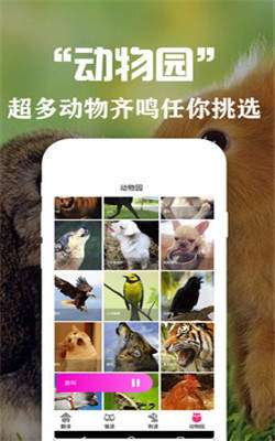 狗语翻译交流器截图