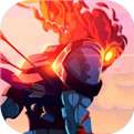 dead cells安卓汉化版 vv1.2