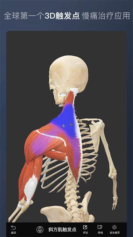 维萨里3D解剖app截图