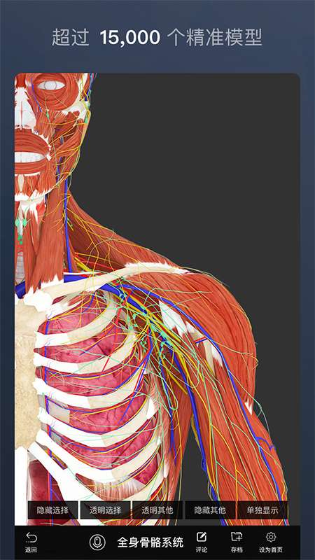 维萨里3D解剖app截图