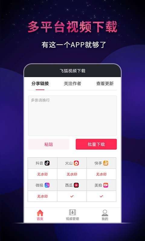 飞狐视频下载器截图