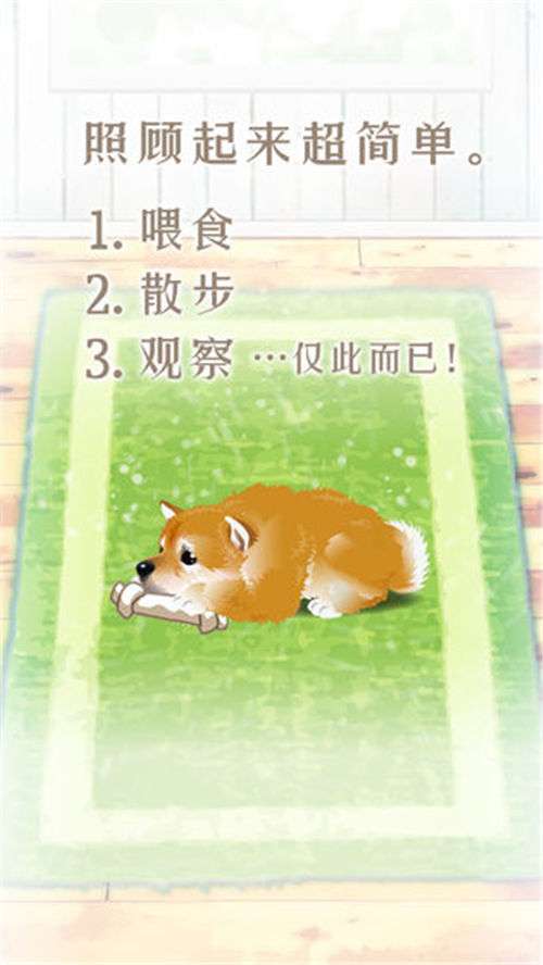 养育柴犬的治愈游戏截图