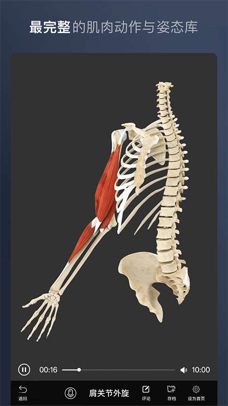 维萨里3D解剖app截图