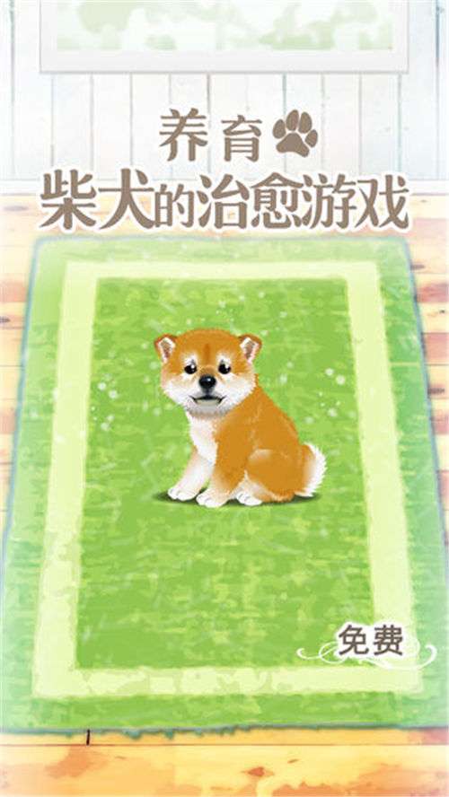 养育柴犬的治愈游戏截图