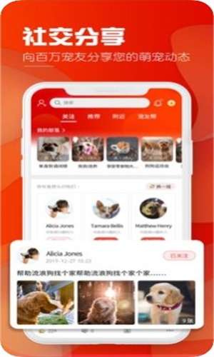 犬易截图