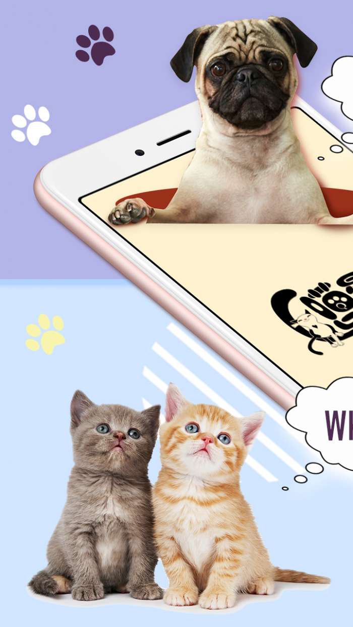 猫狗语翻译器app截图