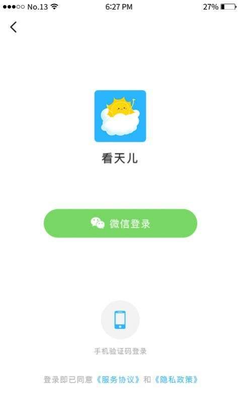 看天儿截图