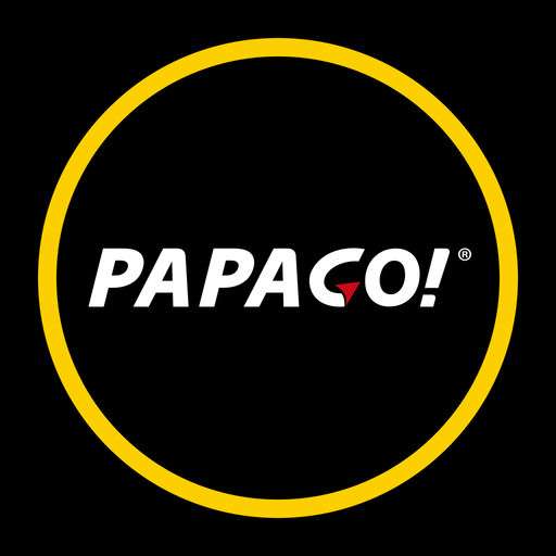 papago记录仪app官方版