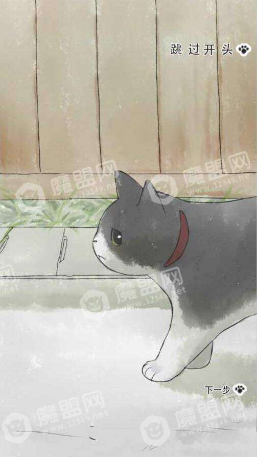 迷途猫游戏截图