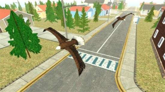 飞鹰模拟器2021完整版截图