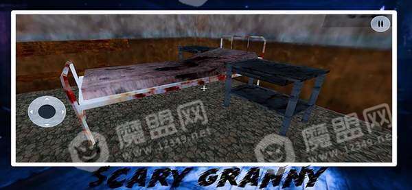 医院里可怕的奶奶苹果版截图