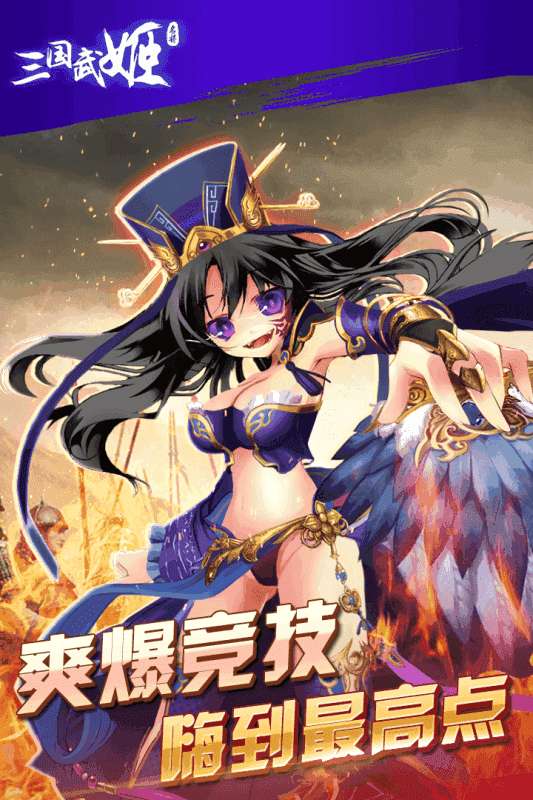 三国武姬截图