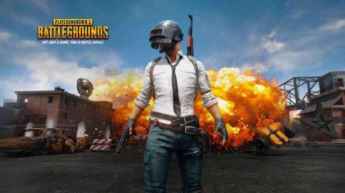 pubg2截图