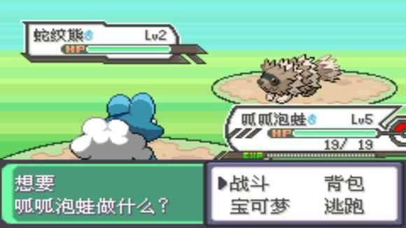 口袋妖怪究极绿宝石II.96DestroyFormer截图
