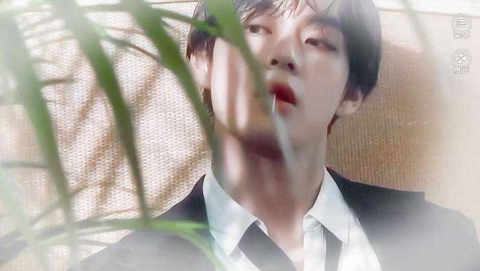 养鱼艺术家破解版截图