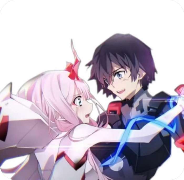 比翼鸟直装 v1.0