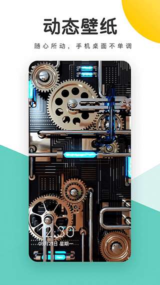 蜻蜓壁纸 2026最新版截图