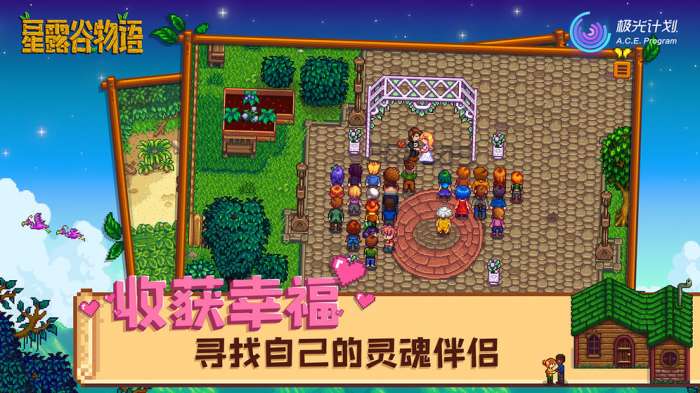 Stardew valley星露谷物语截图